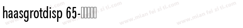 haasgrotdisp 65字体转换